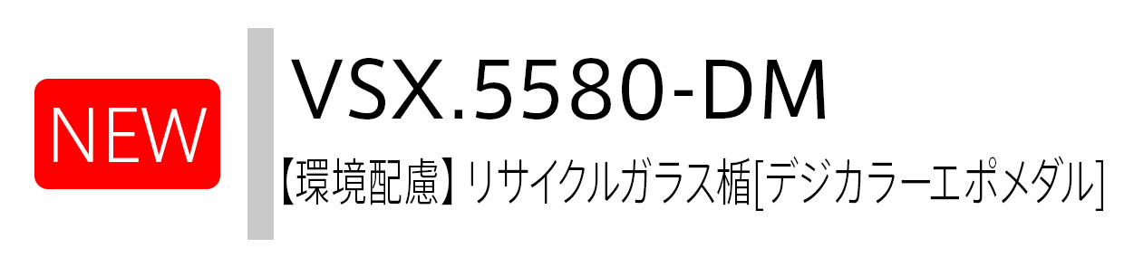 NEW VSX.5580-DM 【環境配慮】リサイクルガラス楯[デジカラーエポメダル]