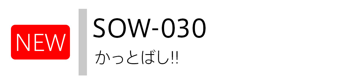 NEW SOW-030　かっとばし!!